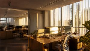 Bureau baigné par le soleil bas d'automne filtré par des stores à lamelles verticales